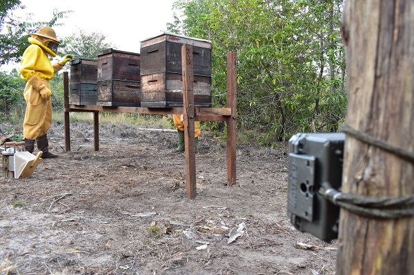 caixas_armadilha_fotografica.JPG